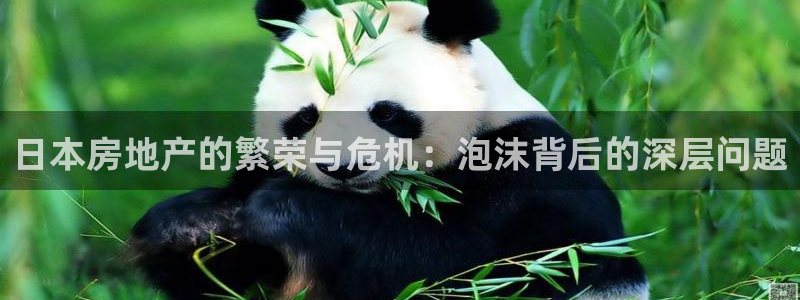 和记娱乐 官网：日本房地产的繁荣与危机：泡沫背后的深层问题