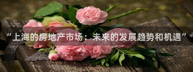 和记官网登录入口：“上海的房地产市场：未来的发展趋势和机遇”