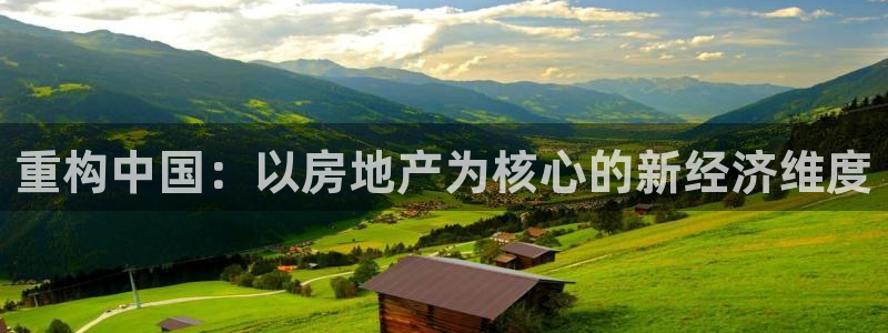 和记怡情官网：重构中国：以房地产为核心的新经济维度