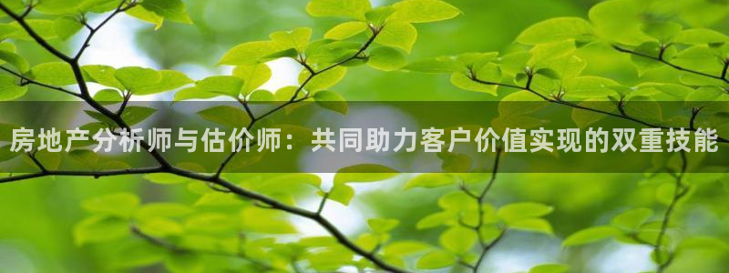 和记3官网：房地产分析师与估价师：共同助力客户价值实现的双重