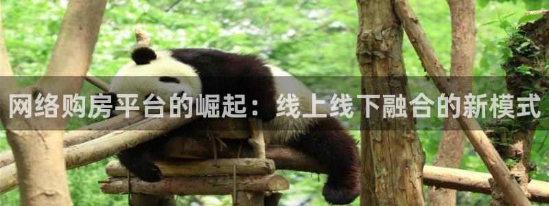 成都和记黄埔官网：网络购房平台的崛起：线上线下融合的新模式
