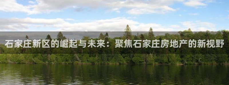 和记电信官网：石家庄新区的崛起与未来：聚焦石家庄房地产的新视