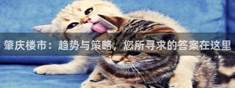 和记官网：肇庆楼市：趋势与策略，您所寻求的答案在这里