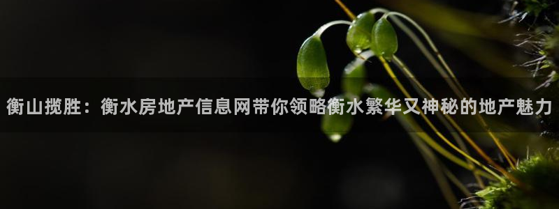 武汉和记黄埔官网：衡山揽胜：衡水房地产信息网带你领略衡水繁华