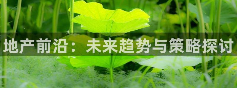 和记官网是一个什么平台：地产前沿：未来趋势与策略探讨