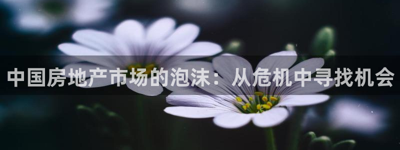 和帆记官网：中国房地产市场的泡沫：从危机中寻找机会