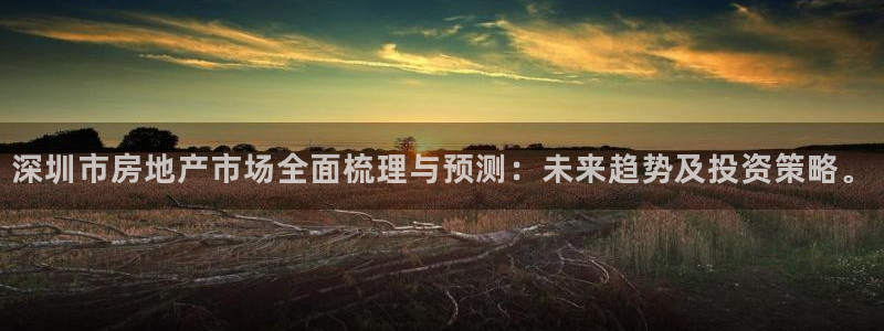 广州和记黄埔官网：深圳市房地产市场全面梳理与预测：未来趋势及