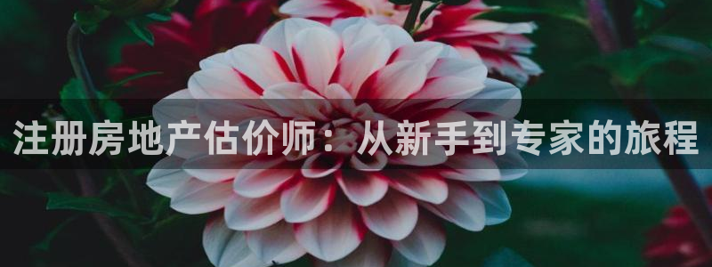 和记环球电讯官网：注册房地产估价师：从新手到专家的旅程