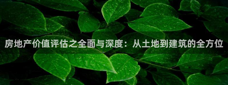 和记h188怡情官网