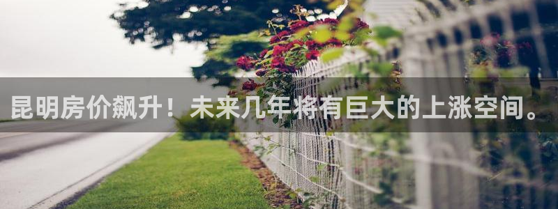 和记3电讯官网