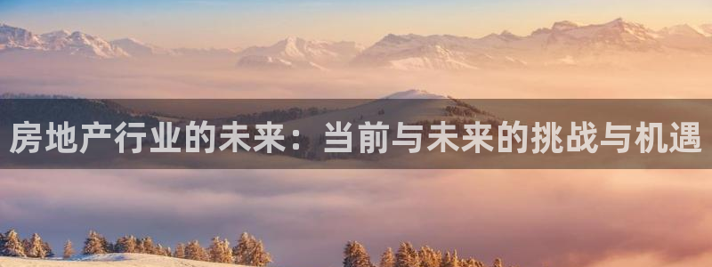 和记黄埔中药公司官网：房地产行业的未来：当前与未来的挑战与机