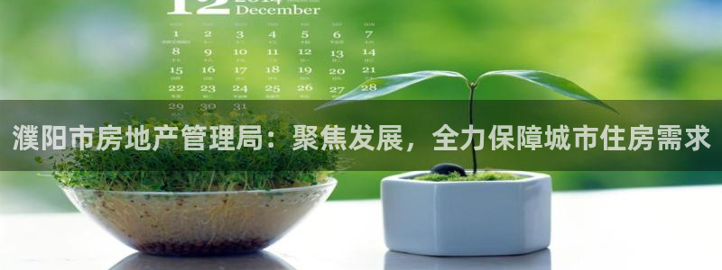和元李记官网