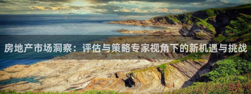 和记官网app：房地产市场洞察：评估与策略专家视角下的新机遇
