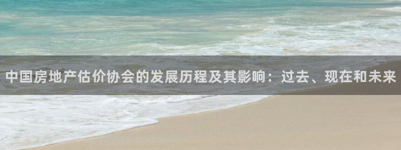 和记国际官网电话：中国房地产估价协会的发展历程及其影响：过去