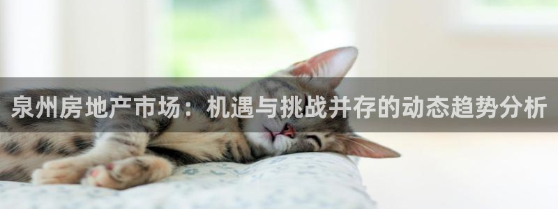 和记电讯three官网：泉州房地产市场：机遇与挑战并存的动态
