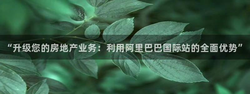 澳门和记官网娱乐场：“升级您的房地产业务：利用阿里巴巴国际站