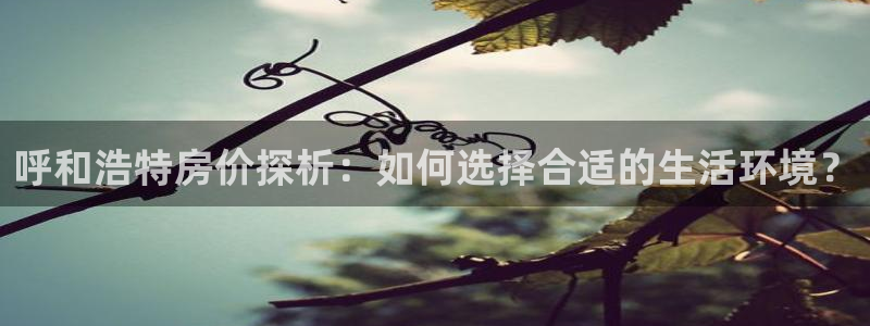 和记h88game官网：呼和浩特房价探析：如何选择合适的生活