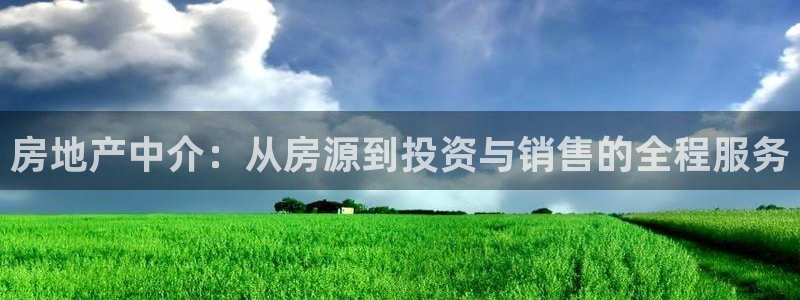 和记茶餐厅官网：房地产中介：从房源到投资与销售的全程服务