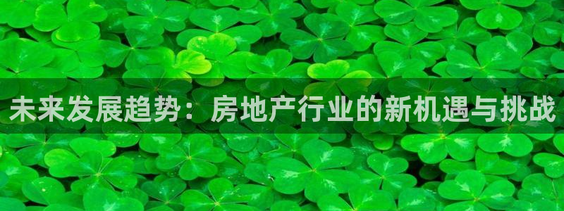 和记平台网站官网：未来发展趋势：房地产行业的新机遇与挑战