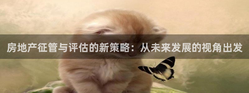 和记官网是一个什么平台：房地产征管与评估的新策略：从未来发展