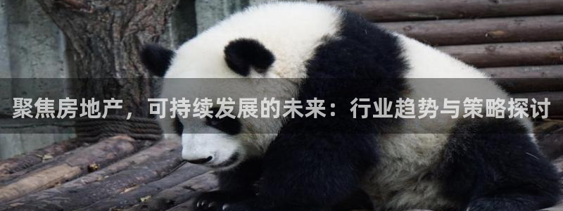 成都和记黄埔官网：聚焦房地产，可持续发展的未来：行业趋势与策