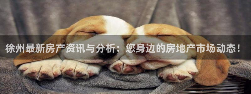 和记增值官网：徐州最新房产资讯与分析：您身边的房地产市场动态