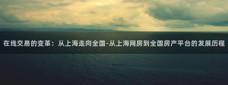和记增值官网：在线交易的变革：从上海走向全国-从上海网房到全