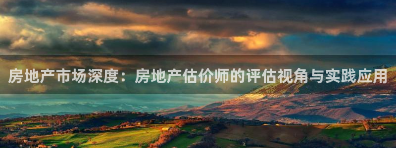 香港和记隆官网：房地产市场深度：房地产估价师的评估视角与实践