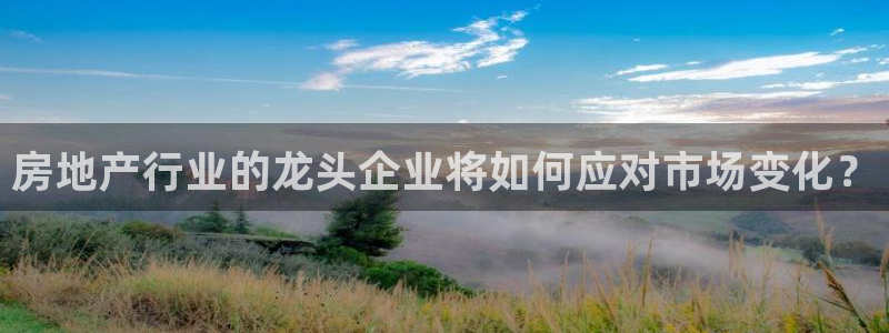 和记黄埔上海官网：房地产行业的龙头企业将如何应对市场变化？