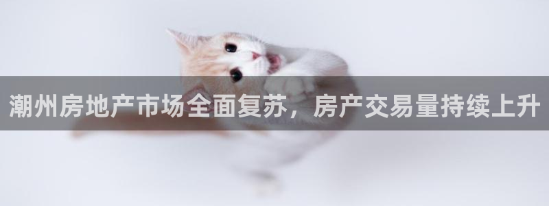 和记官网平台入口：潮州房地产市场全面复苏，房产交易量持续上升