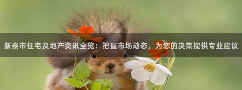 和记电讯香港官网：新泰市住宅及地产资讯全览：把握市场动态，为
