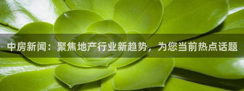 和记h188怡情官网：中房新闻：聚焦地产行业新趋势，为您当前