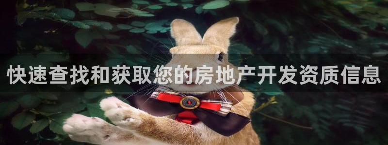 和记官网 (中国区)官方网站：快速查找和获取您的房地产开发资