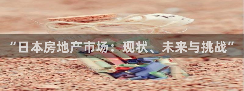 成都和记黄埔地产官网：“日本房地产市场：现状、未来与挑战”