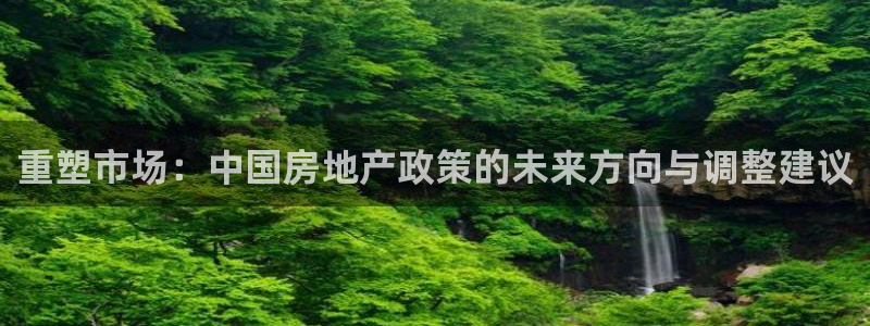 3g和记官网：重塑市场：中国房地产政策的未来方向与调整建议