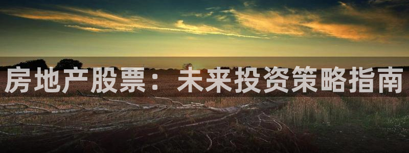 和记家家加盟官网：房地产股票：未来投资策略指南