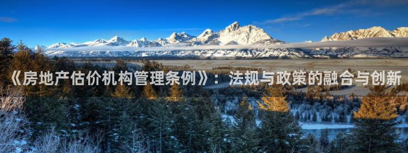 和记官网地址：《房地产估价机构管理条例》：法规与政策的融合与