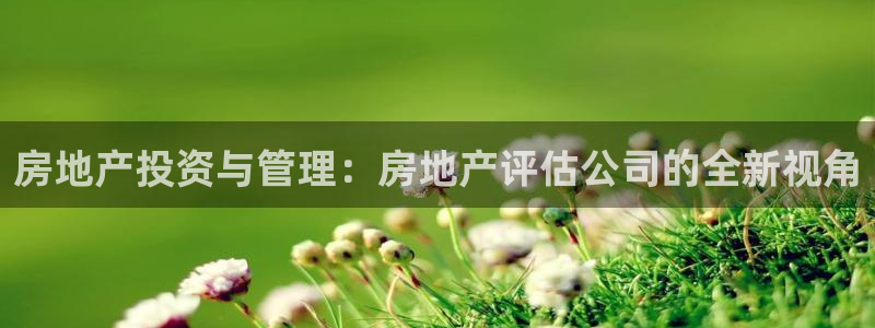和记官网平台：房地产投资与管理：房地产评估公司的全新视角