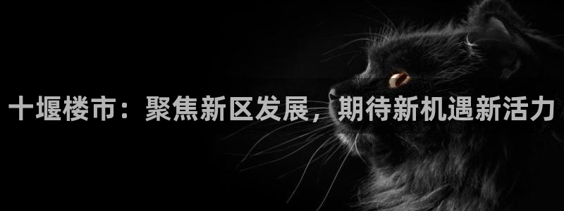 和记娱官网h88285怡情：十堰楼市：聚焦新区发展，期待新机