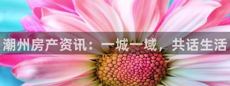 和记娱乐平台官网：潮州房产资讯：一城一域，共话生活