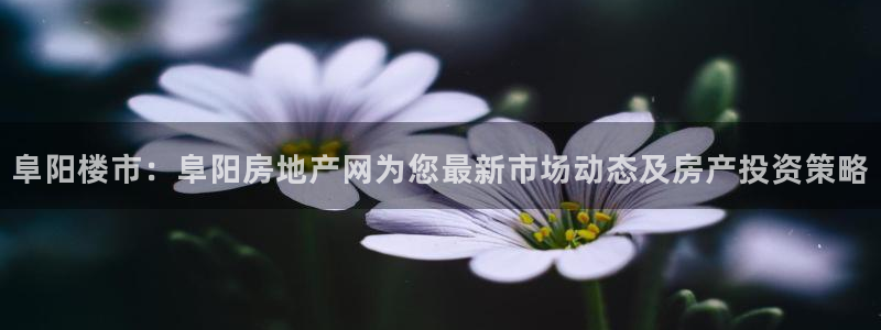 毛记和意冒菜官网加盟：阜阳楼市：阜阳房地产网为您最新市场动态