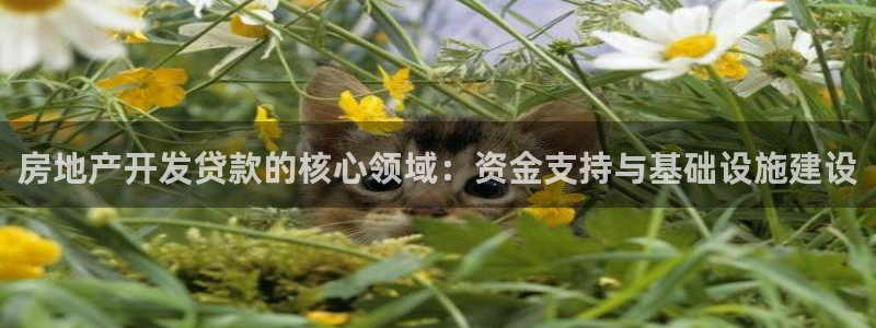 和记体育买球官网：房地产开发贷款的核心领域：资金支持与基础设