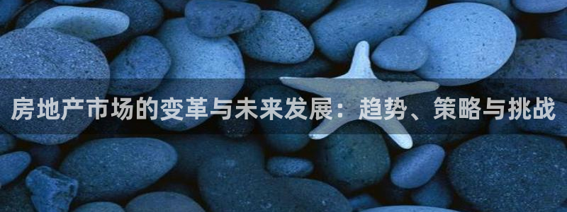 官网和记通讯：房地产市场的变革与未来发展：趋势、策略与挑战
