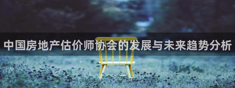 和记3官网：中国房地产估价师协会的发展与未来趋势分析