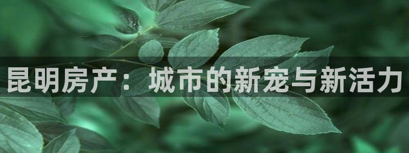 和记官网：昆明房产：城市的新宠与新活力