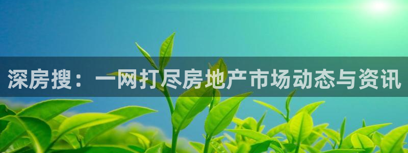 和记娱精湛h88285官网：深房搜：一网打尽房地产市场动态与