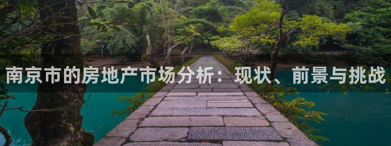 和兴记官网：南京市的房地产市场分析：现状、前景与挑战