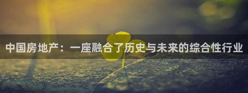 和记旗舰官网：中国房地产：一座融合了历史与未来的综合性行业