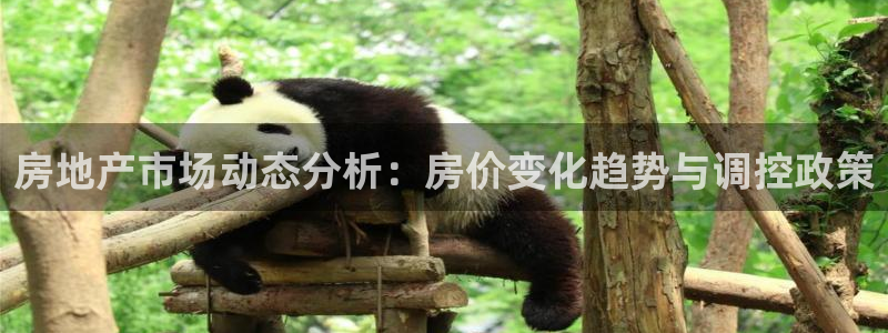 和记电讯three官网：房地产市场动态分析：房价变化趋势与调