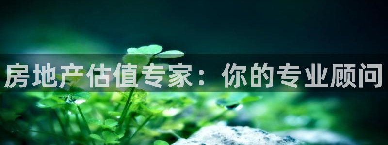 和记怡情h88官网：房地产估值专家：你的专业顾问